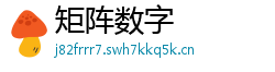 矩阵数字